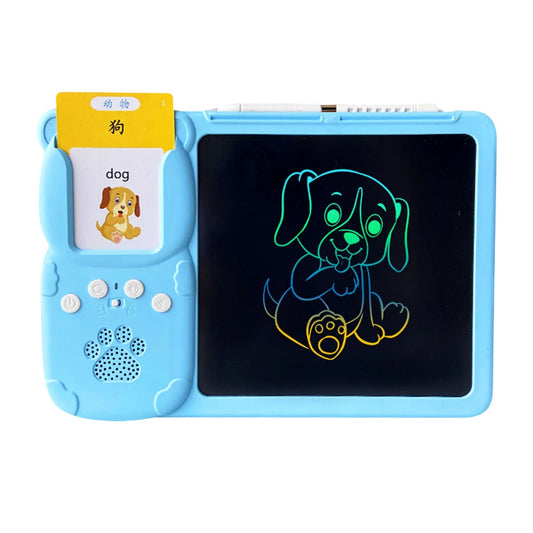 2-IN-1 Flash Card Reader & LCD Tab